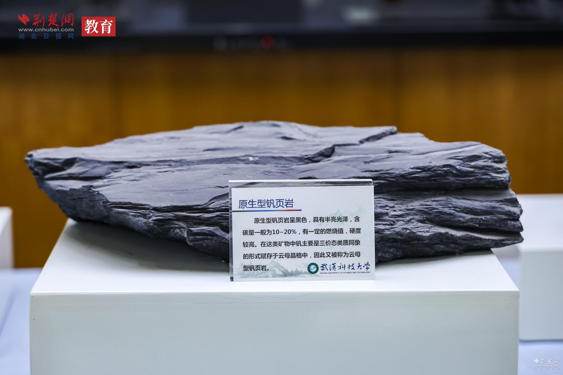 原生型钒页岩